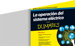 La operación del sistema electrico para Dummies