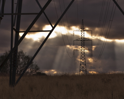 Manager of the transmission grid