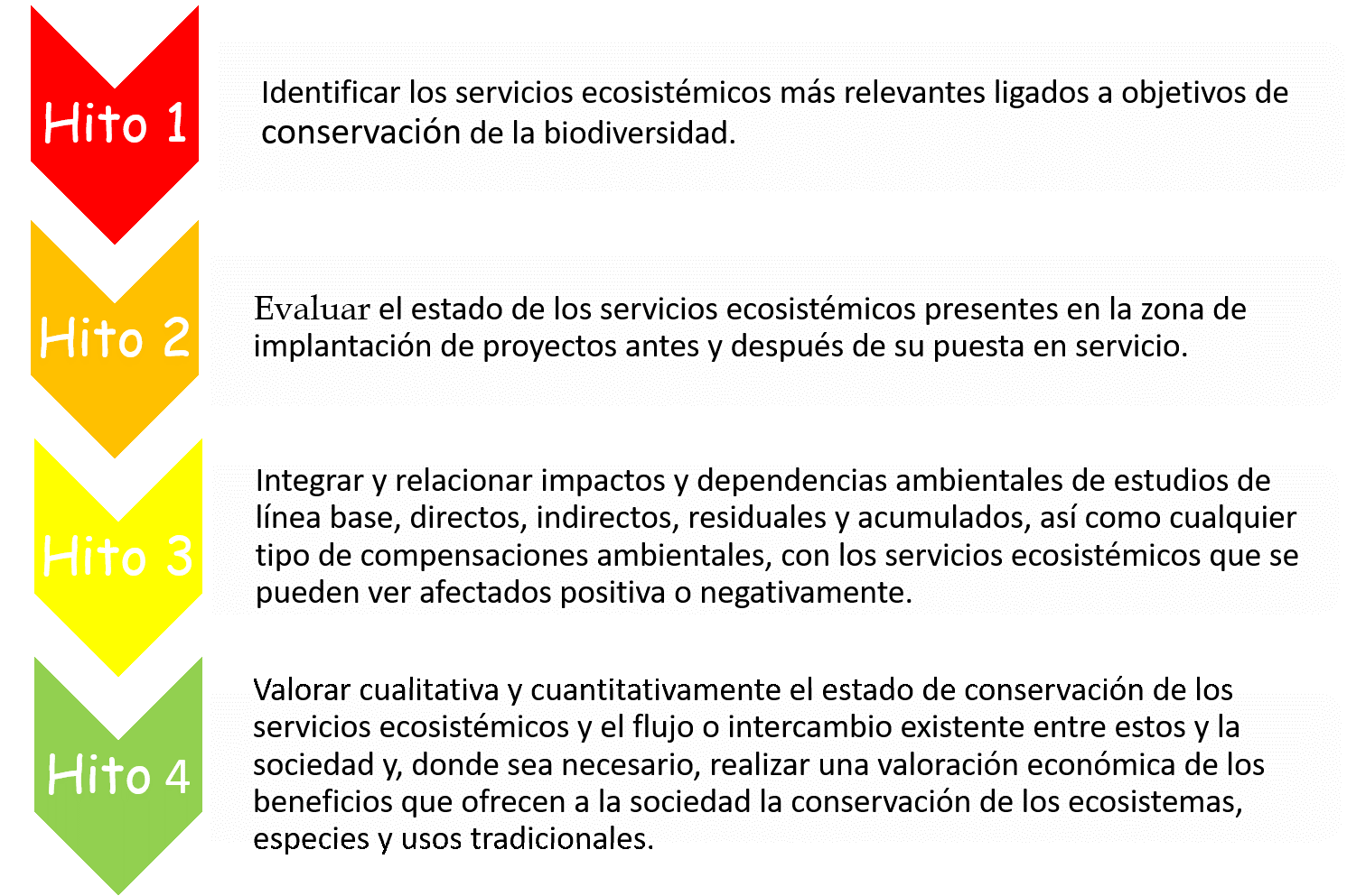 Hitos específicos para valorar el impacto positivo o negativo de Red Eléctrica sobre los servicios ecosistémicos Hitos específicos para valorar el impacto positivo o negativo de Red Eléctrica sobre los servicios ecosistémicos