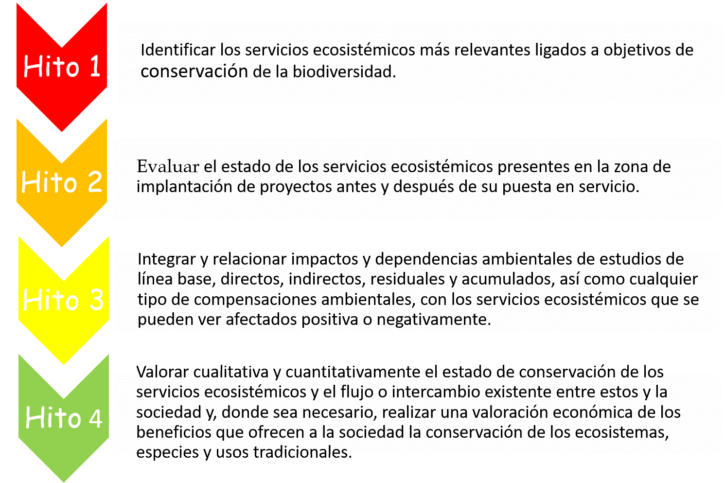 Hitos específicos para valorar el impacto positivo o negativo de Red Eléctrica sobre los servicios ecosistémicos