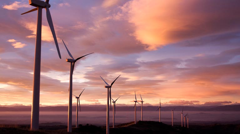 Molinos de viento