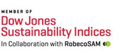 Logo Dow Jones Sustainability World Index