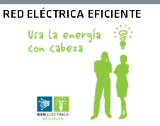 Usa la energía con cabeza. Acceso a Red Eléctrica eficiente.