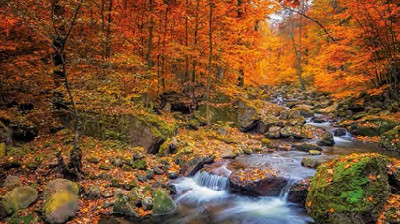 Responsible environmental management Responsible environmental management