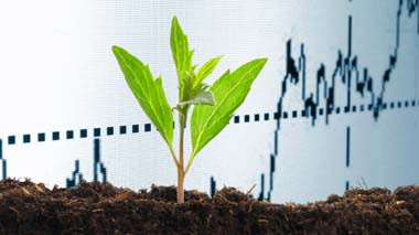 Responsible investment Responsible investment