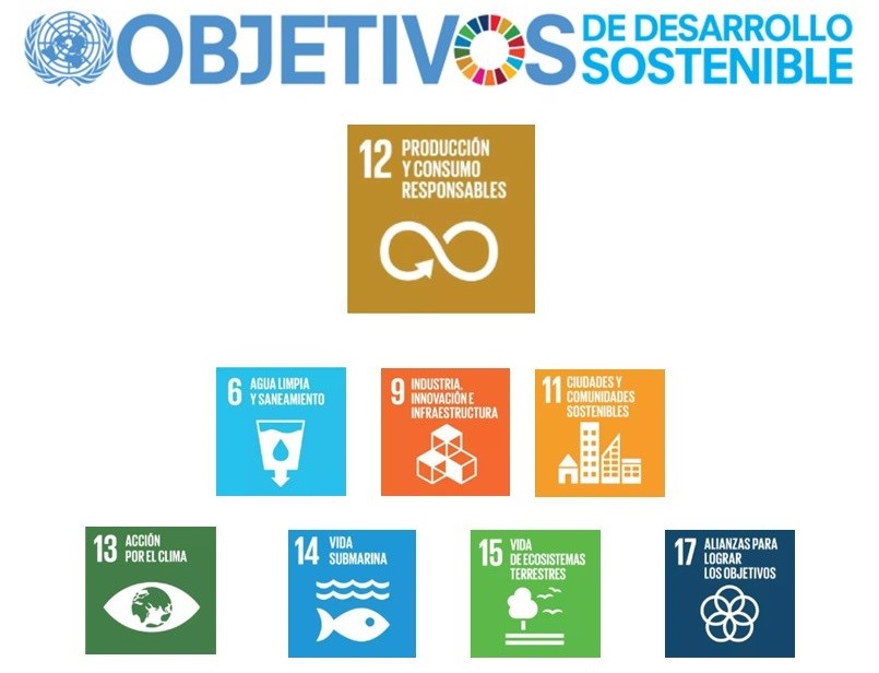 Sustainable Development Goals (SDGs)