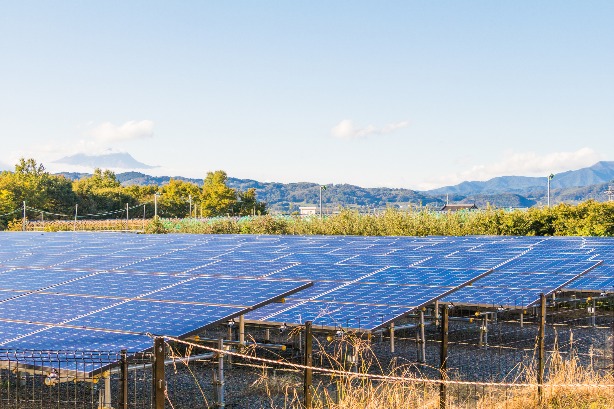 Parque solar fotovoltaico.