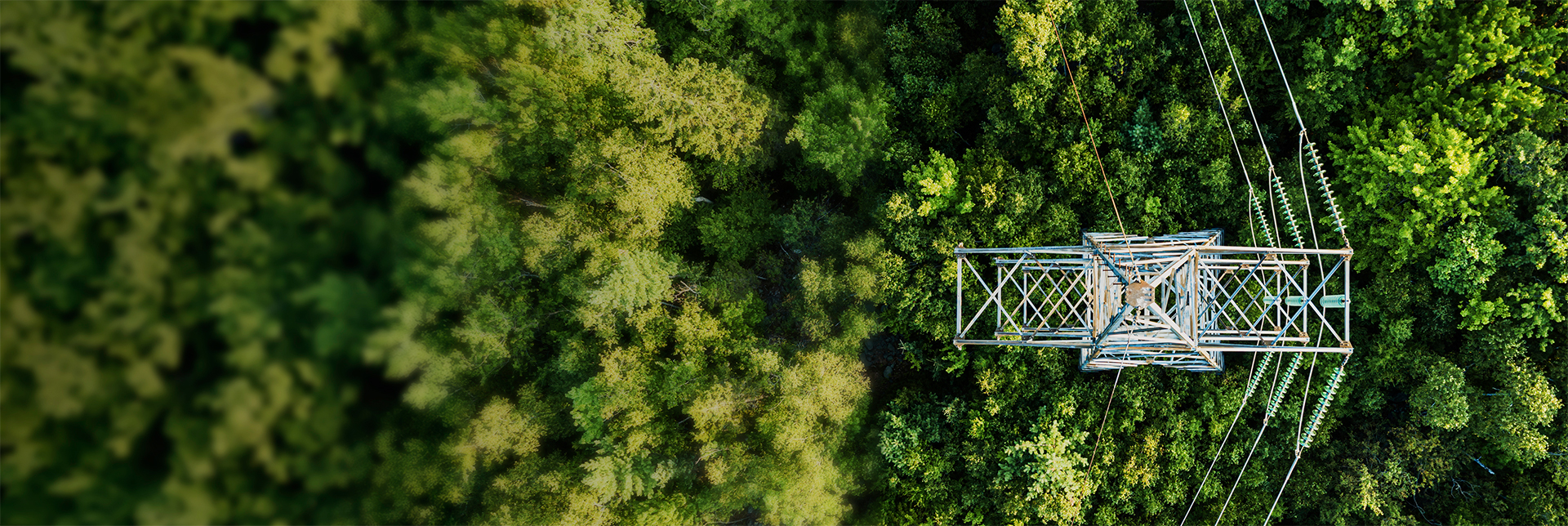 Informes del sistema 2025