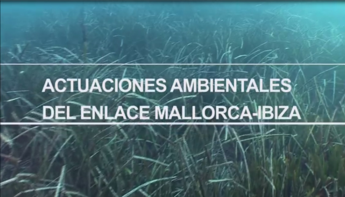 Ir al vídeo
