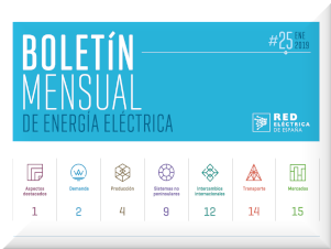 Boletín mensual de enero 2019