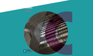 Sistema Eléctrico Español 2017