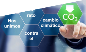 Ir a la sección de Sostenibilidad