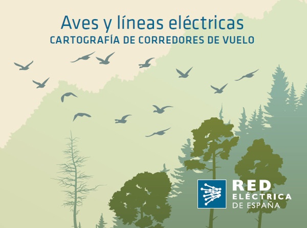 Brochure about ‘Mapping of Bird Flight Paths’ Project Go to the document