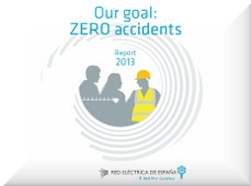 Cover of Report 2013