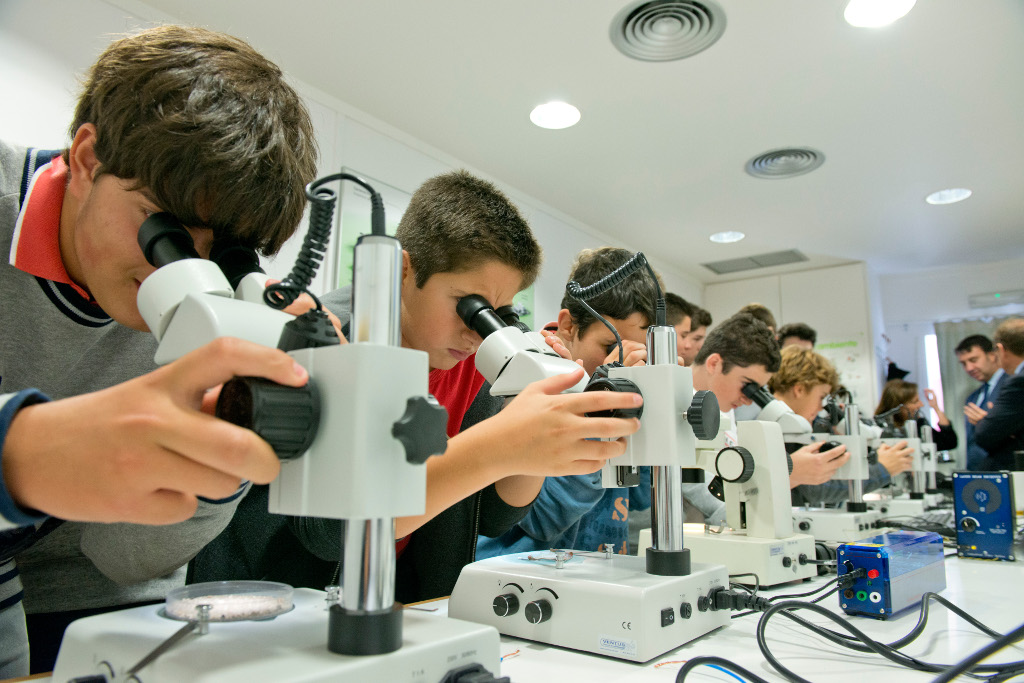 Un grupo de escolares con las lupas binoculares, en uno de los talleres en Gijón.