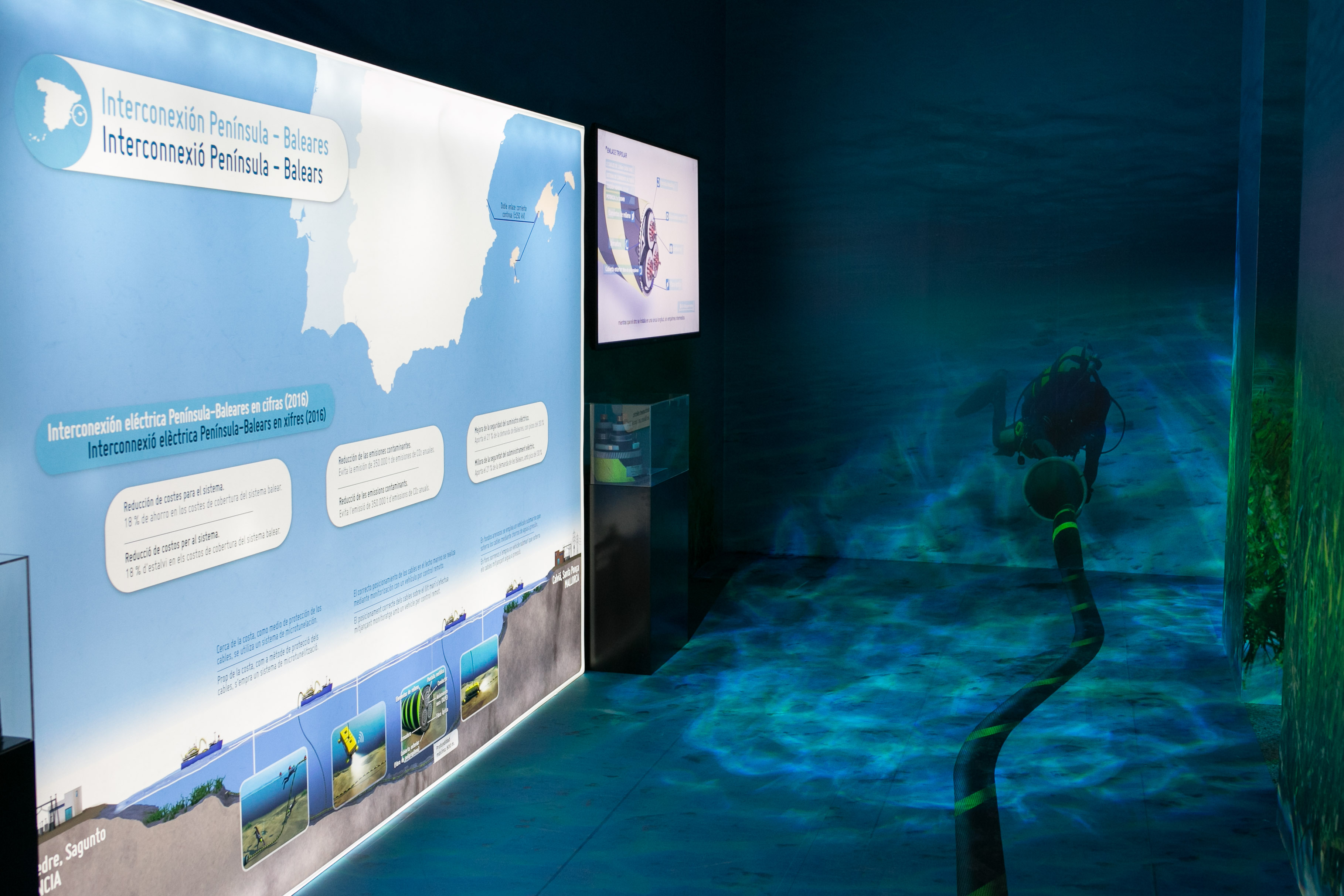 Underwater connections Exhibit space that explains underwater interconnections.
