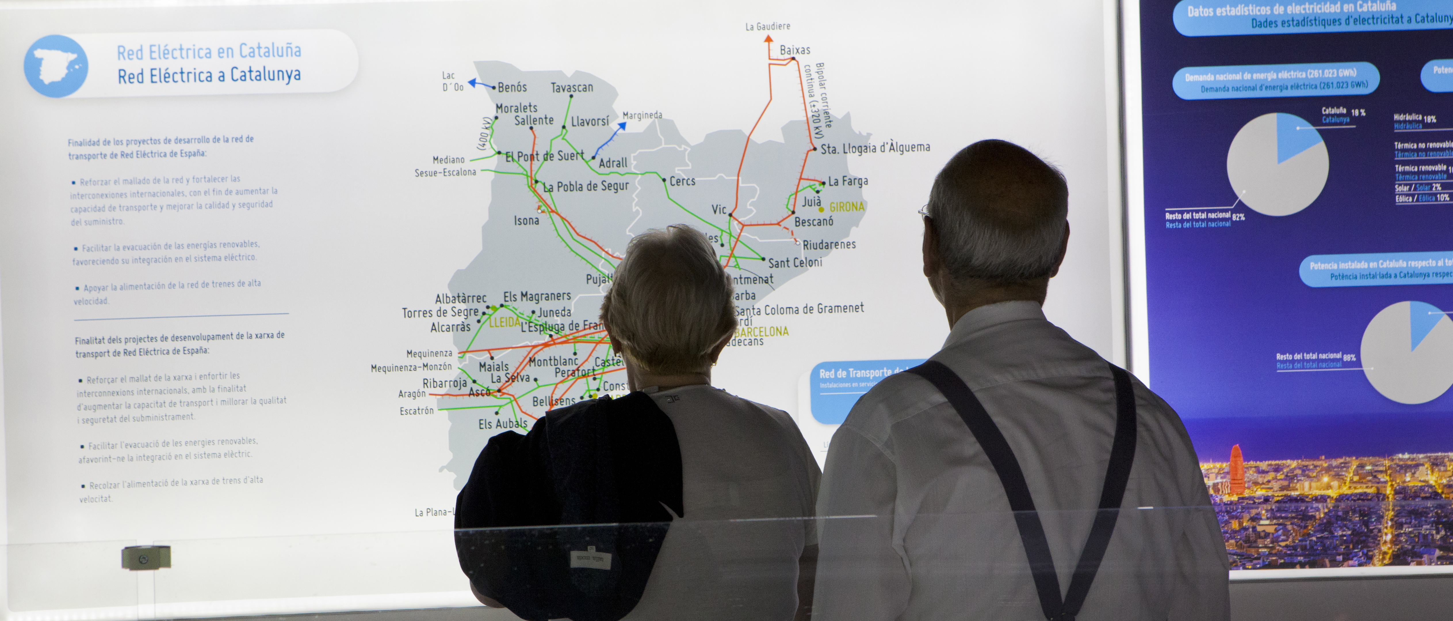 Meshed grid Module of the map of the transmission grid in Catalonia.