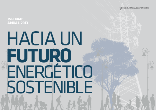 Informe anual 2013