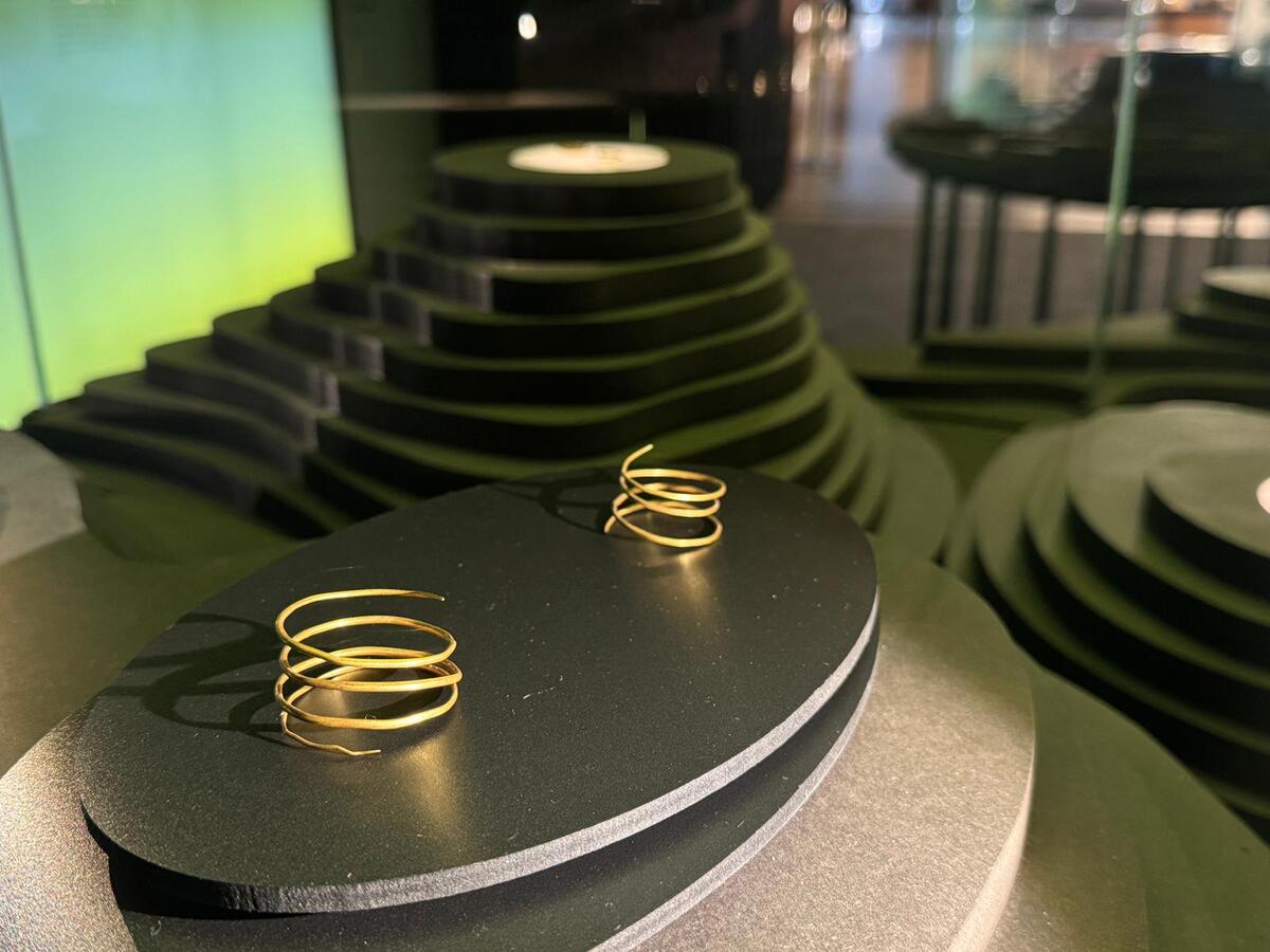 Detalle museografía