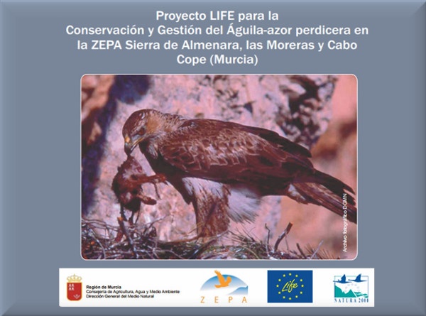 Front cover of 'Proyect LIFE for conservation and management of Bonelli's eagle in Murcia' Go to the document