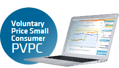 Voluntary price for the small consumer (PVPC)