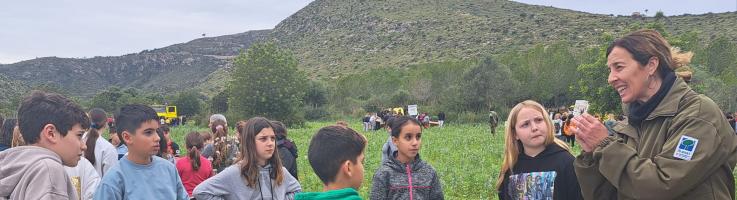 Escolares de quinto y sexto de Primaria visitan el Bosque de Sa Duaia (Mallorca). Escolares de quinto y sexto de Primaria visitan el Bosque de Sa Duaia (Mallorca).