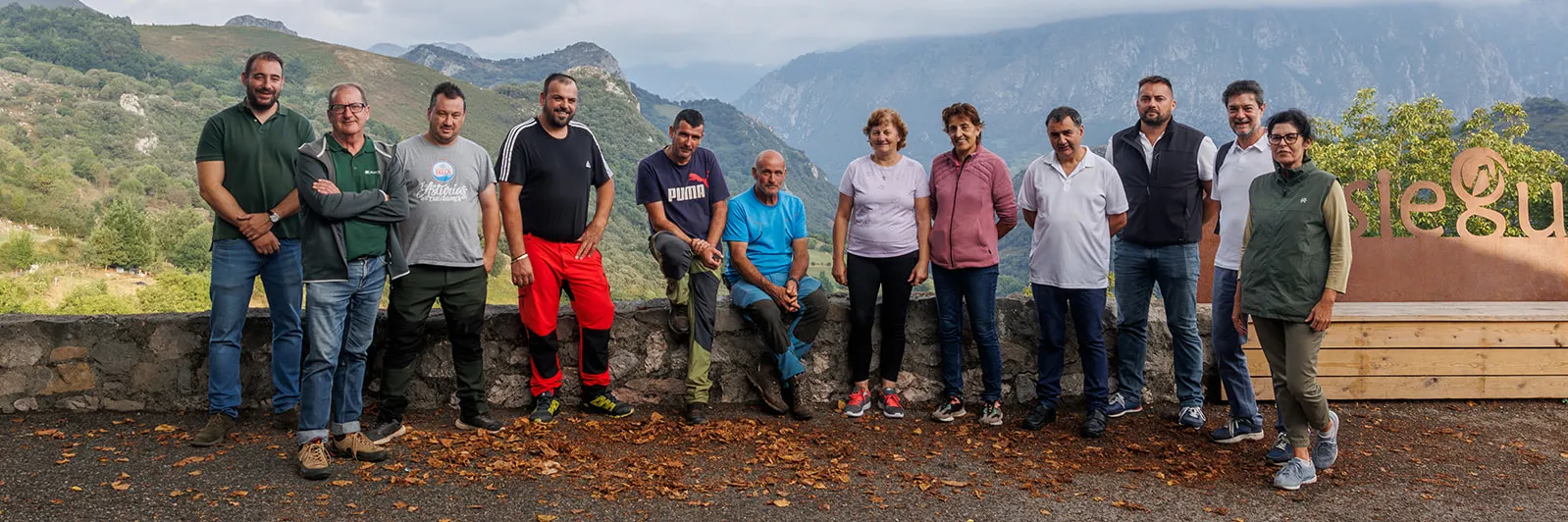 Almost 800 head of livestock will be used for vegetation management beneath the power lines of Red Eléctrica in Cabrales