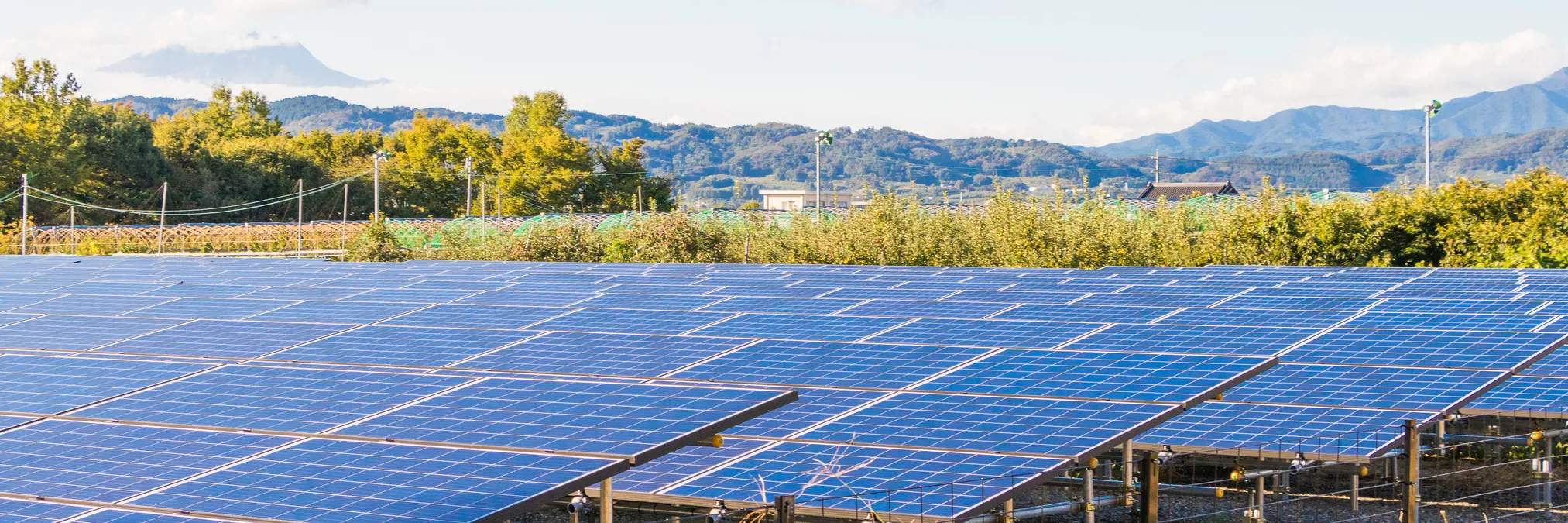 Parque solar fotovoltaico.