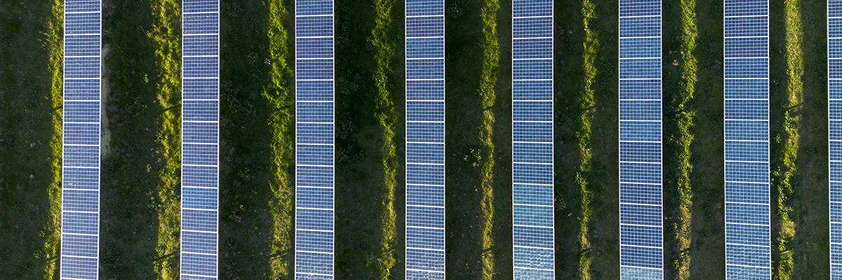Paneles solares
