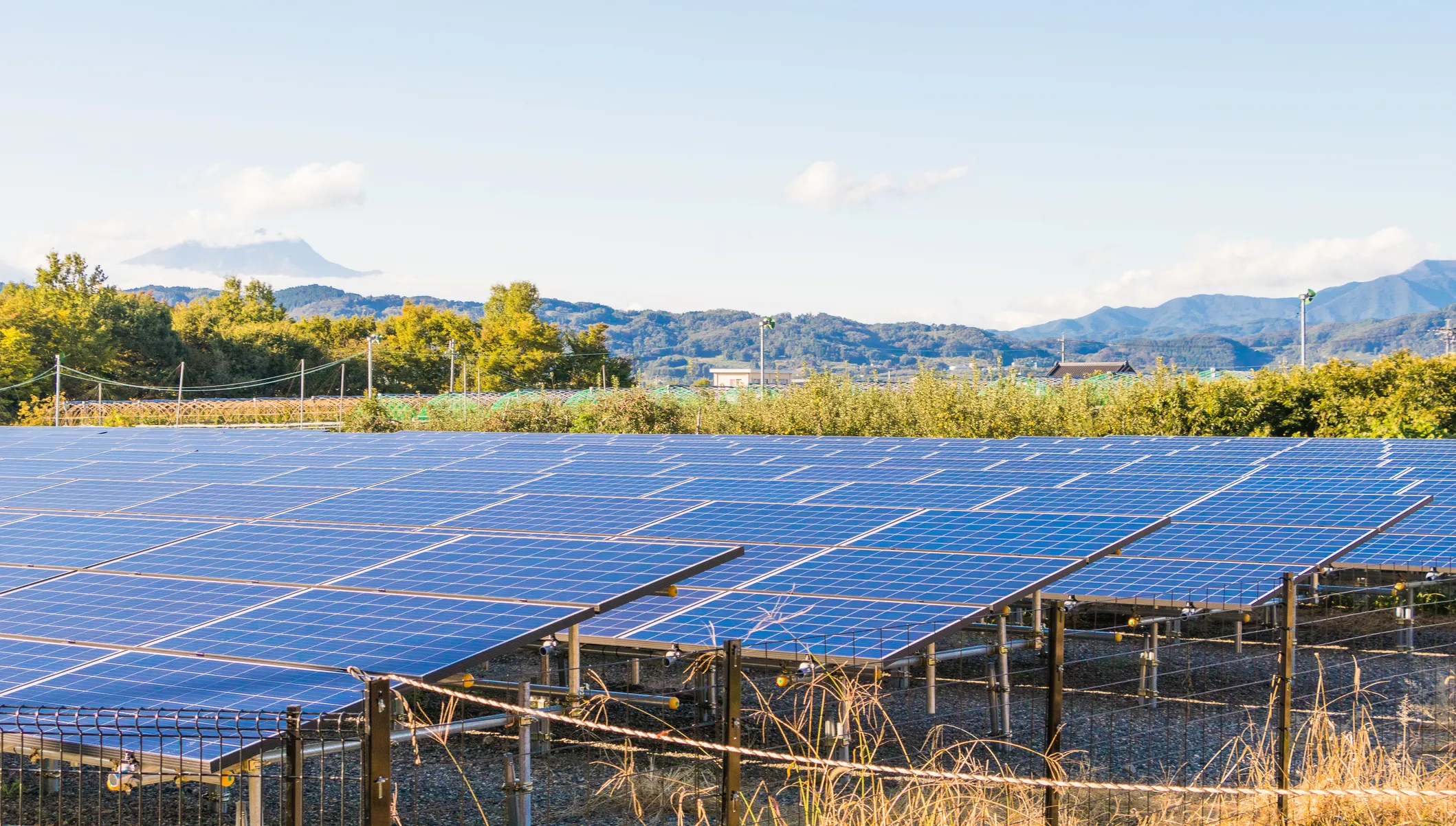 Parque solar fotovoltaico.