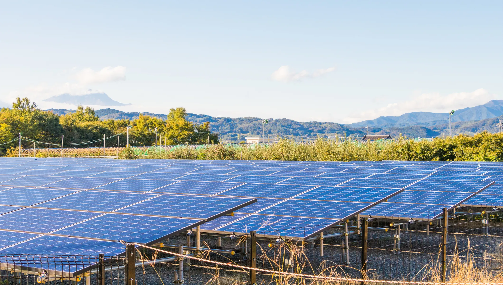 Parque solar fotovoltaico