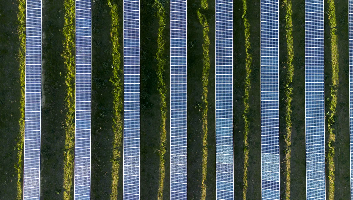 Paneles solares