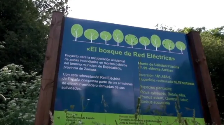 El bosque de Red Eléctrica
