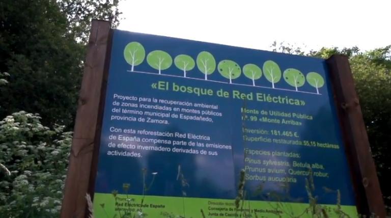 El bosque de Red Eléctrica