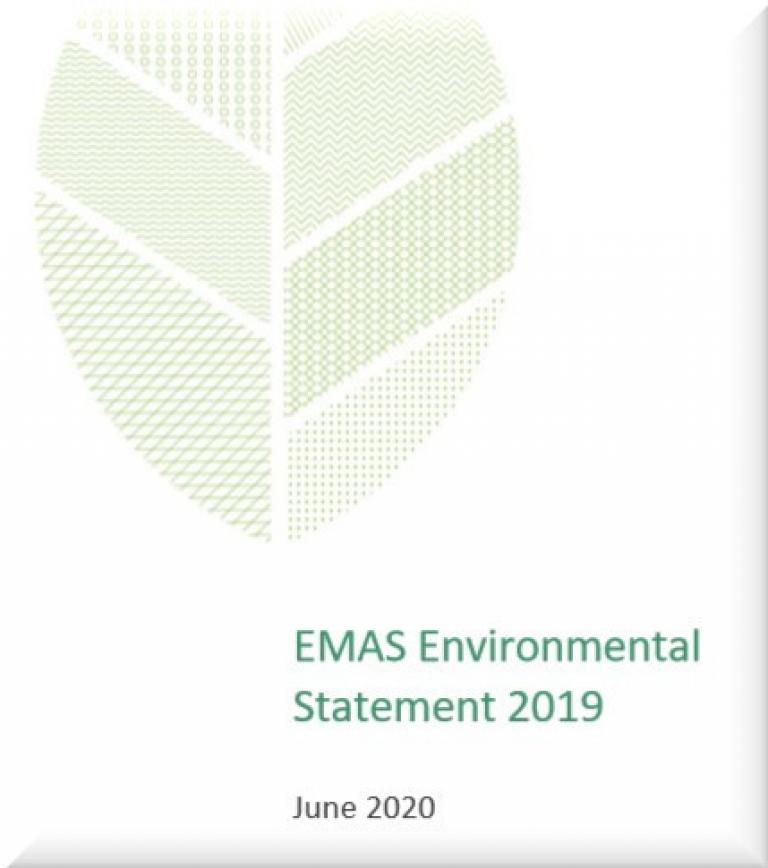 Enviromental Statement 2019