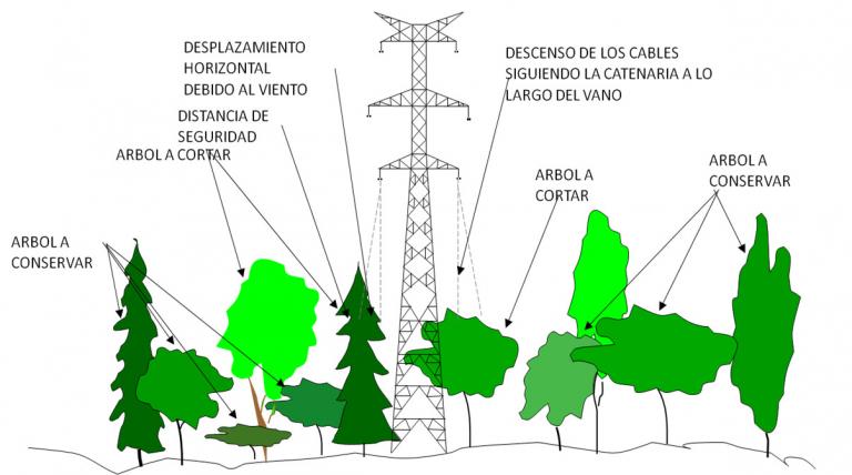 Tree surgery (felling and pruning) diagram.