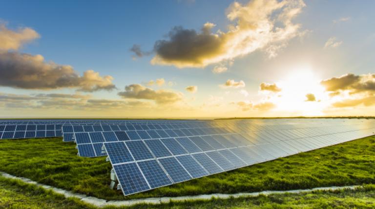 3 August, the day that solar photovoltaic smashed 2019’s figures