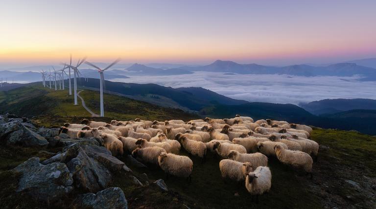 El día 1 de marzo se convirtió en el segundo día con menores emisiones asociadas a la generación eléctrica en España, con un total de 58.649,998 tCO2 equivalente. El dato alcanzado este domingo se coloca por debajo del mínimo histórico que, según los datos que ofrecen los registros, fue el 22 de diciembre de 2019, en que estas alcanzaron las 52.784,22 tCO equivalente. Pero…, ¿qué paso ese domingo 1 de marzo? El viento impulsó a la eólica a desplegar todo su potencial al producir un total de 358 GWh. Con est