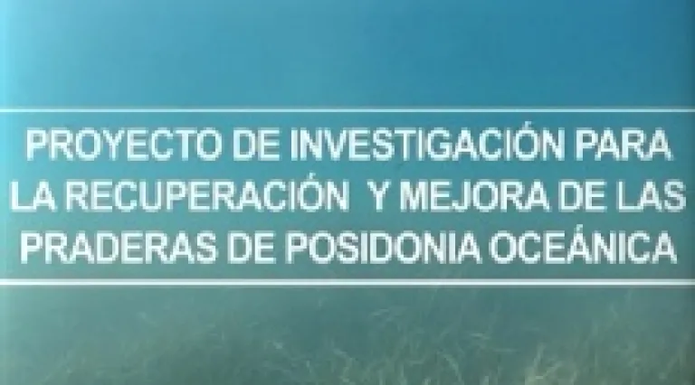 Ir al video