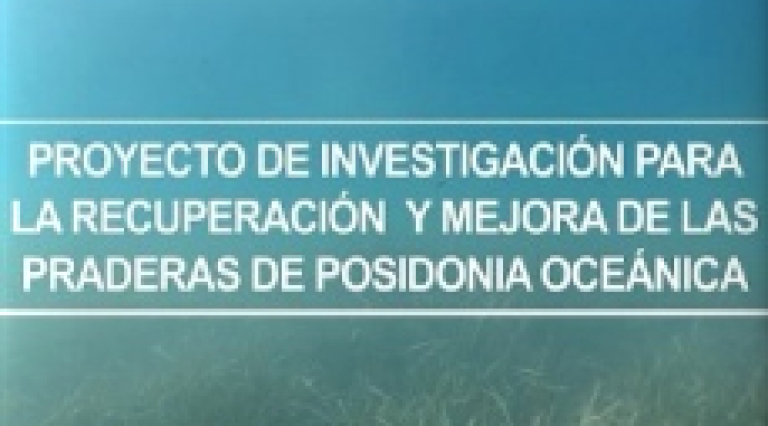 Ir al video