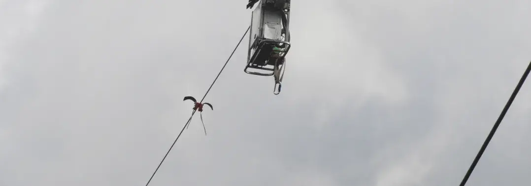 Instalación de doble cinta salvapájaros