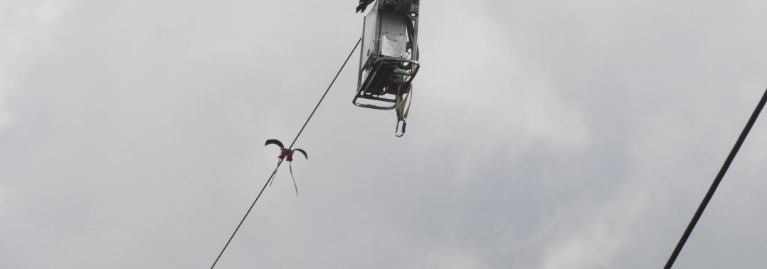 Instalación de doble cinta salvapájaros