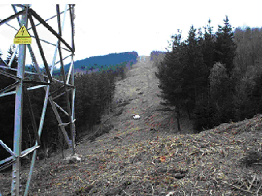 Estado de una línea tras los trabajos de tala y poda de vegetación.