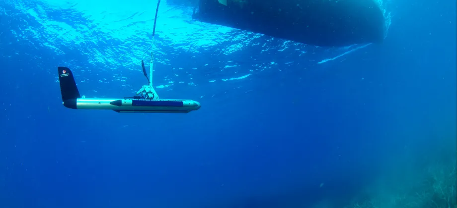 Labores de localización de las praderas de posidonia con un sónar en la bahía de Santa Ponsa (Mallorca).