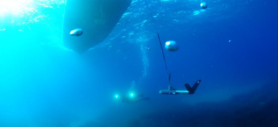 Detección de praderas de posidonia, elementos biológicos e infraestructuras para concretar el trazado del cable.