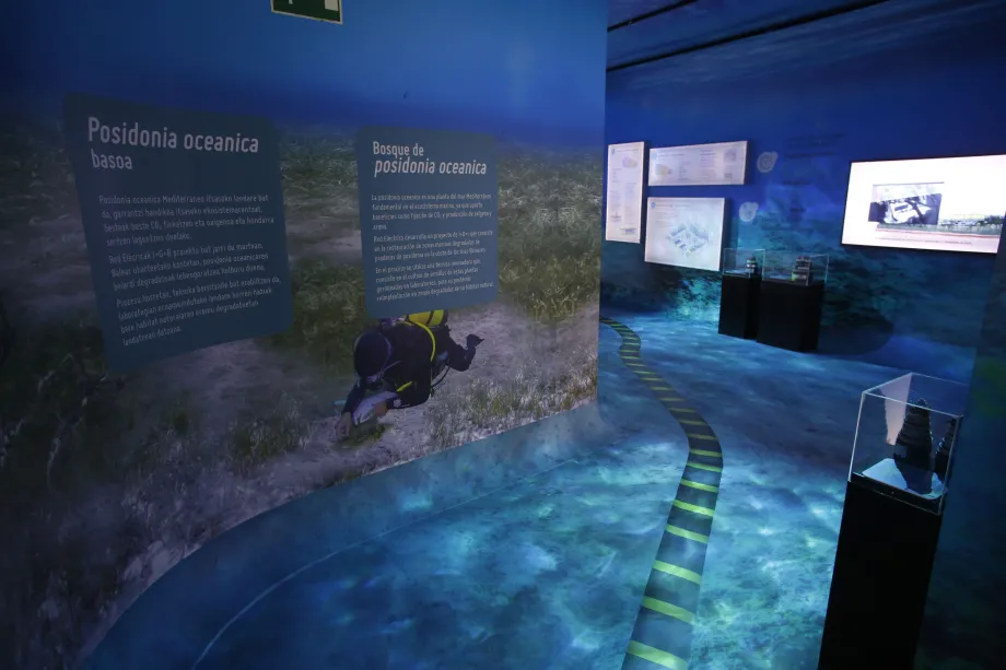 La ambientación complementa las explicaciones, que se componen tanto de gráficos como de textos. 