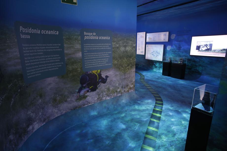 Interconexiones submarinas La ambientación complementa las explicaciones, que se componen tanto de gráficos como de textos.