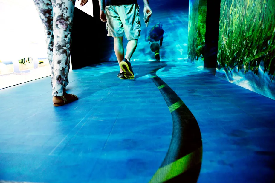 Exhibit space that covers Underwater interconnections.