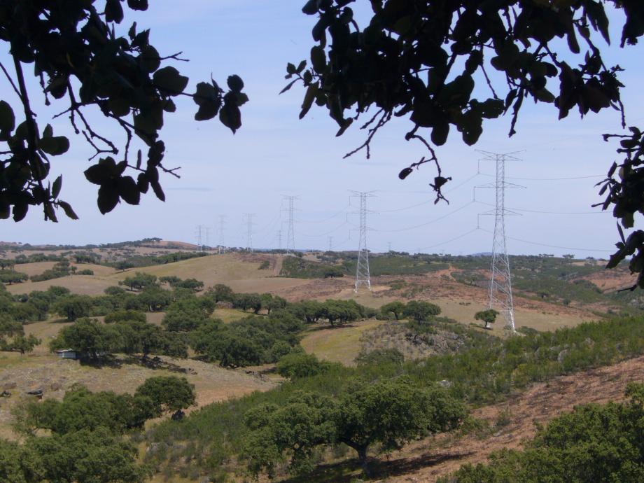 Tramo de la línea que recorre las dehesas de encinas.