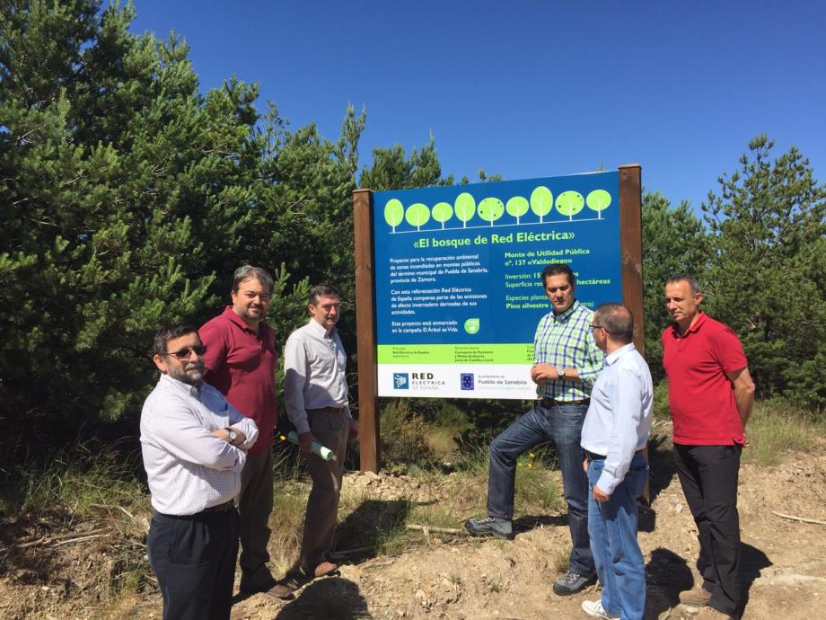 Autoridades del Gobierno de Castilla y León y representantes de Red Eléctrica de España durante la visita al monte de Valdediego, en Puebla de Sanabria, donde se han concluido los trabajos de recuperación forestal de 51 hectáreas.